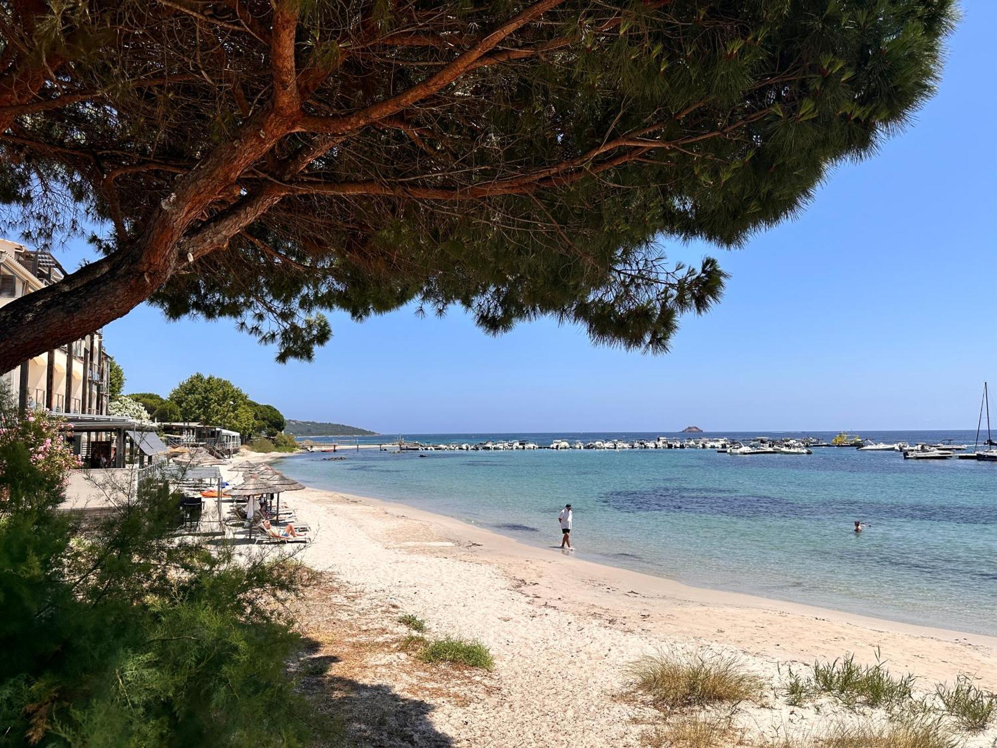 Charmant 2 Piece Tout Equipe Climatise Sainte-Lucie de Porto-Vecchio Dış mekan fotoğraf